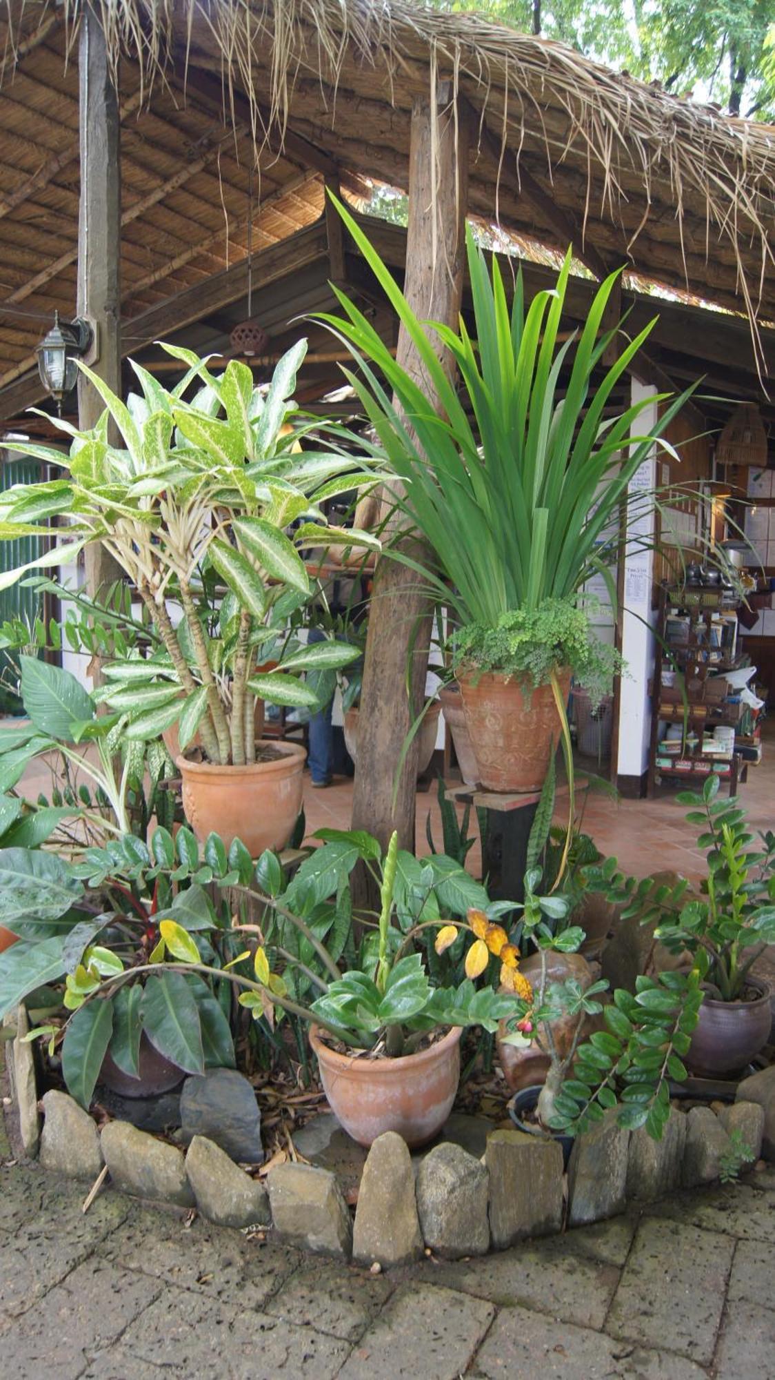 Mut Mee Garden Guest House Nong Khai Luaran gambar