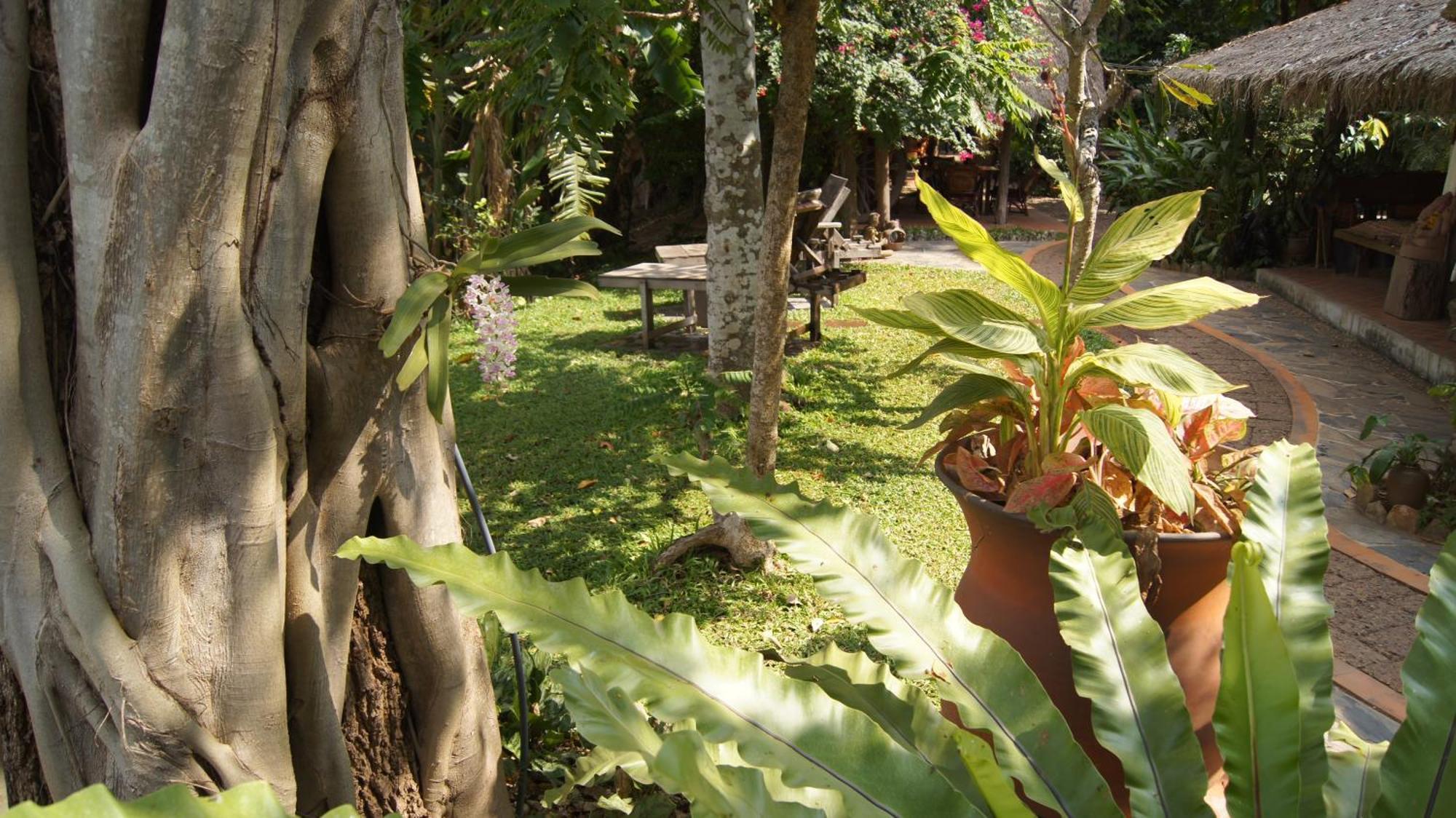 Mut Mee Garden Guest House Nong Khai Luaran gambar