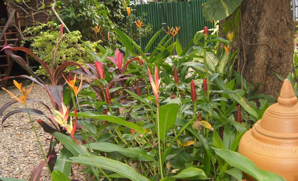 Mut Mee Garden Guest House Nong Khai Luaran gambar